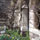 Campus Character: historic campus area thumbnail