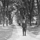 Campus Evolution: McCosh Walk thumbnail